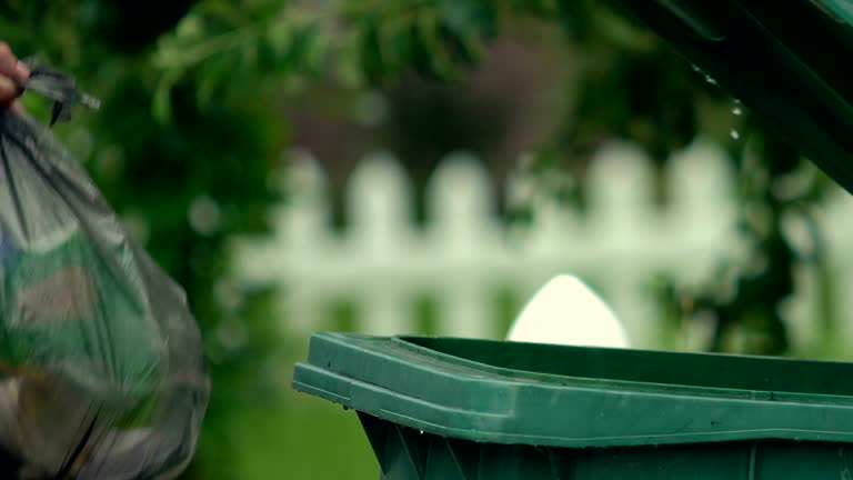 Shed Removal in Carson City, MI